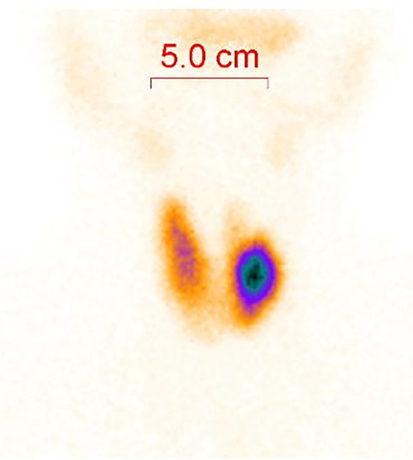 Figure 1