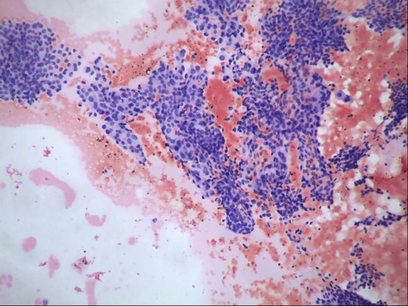 Figure 3