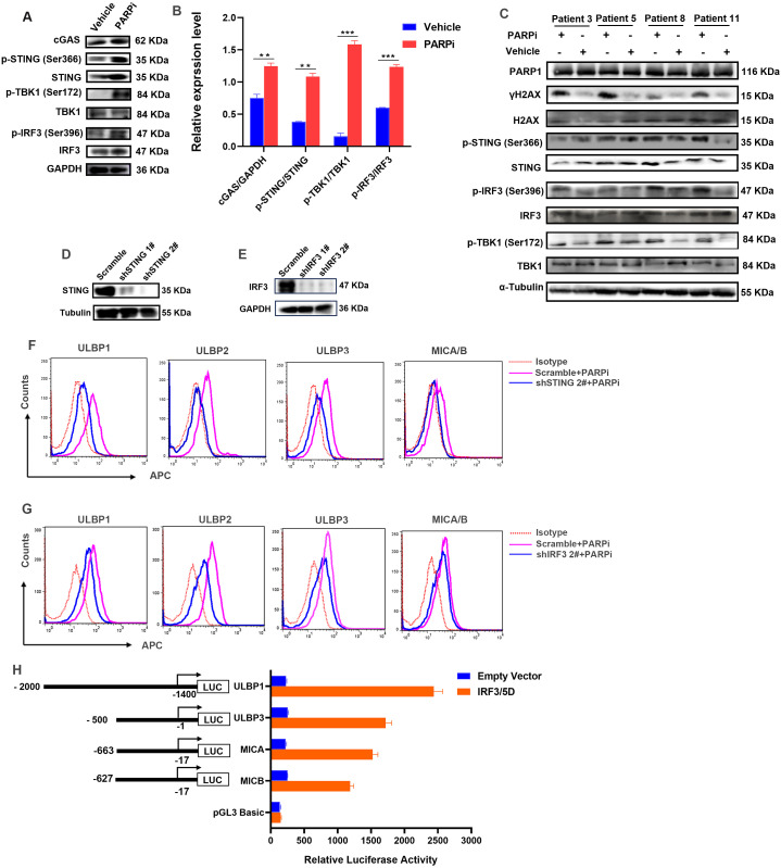Figure 5