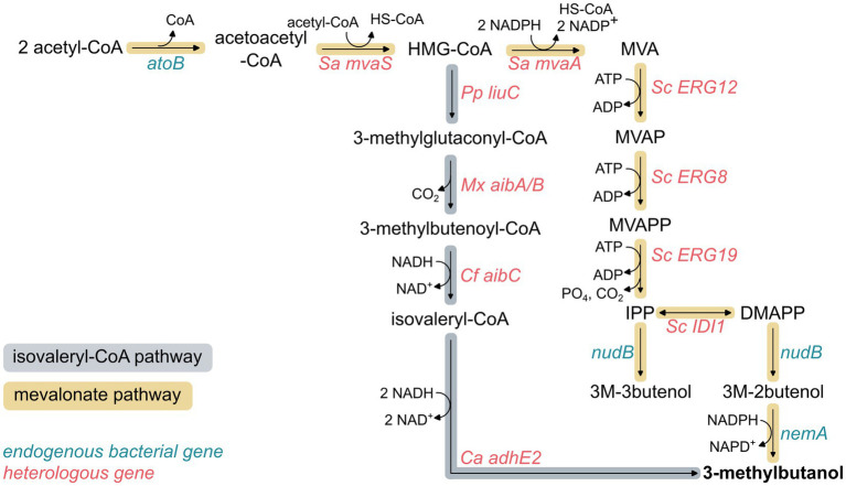 Figure 2
