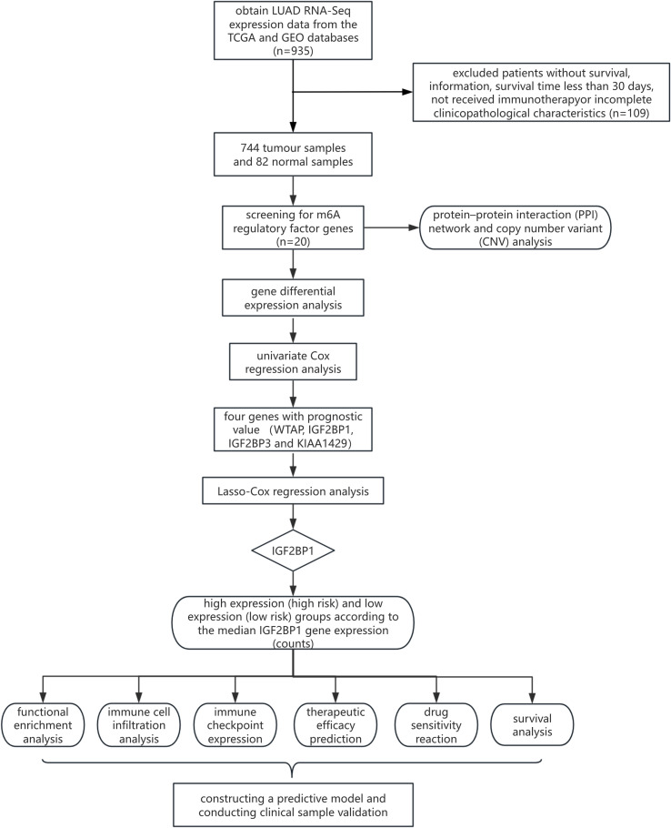 Figure 1