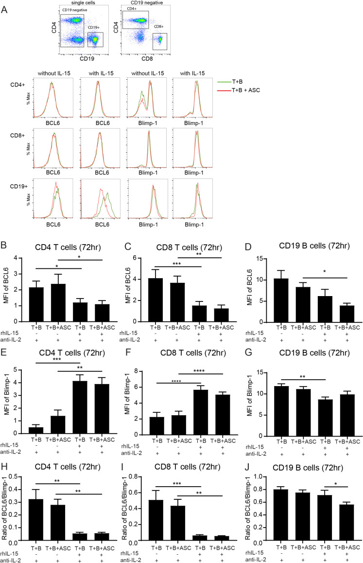 Figure 5