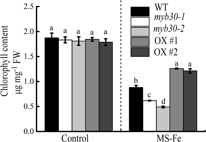 Figure 3
