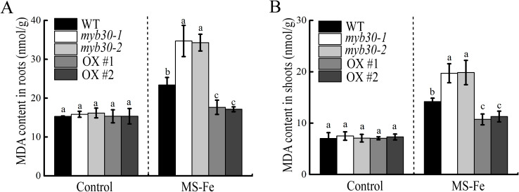 Figure 4