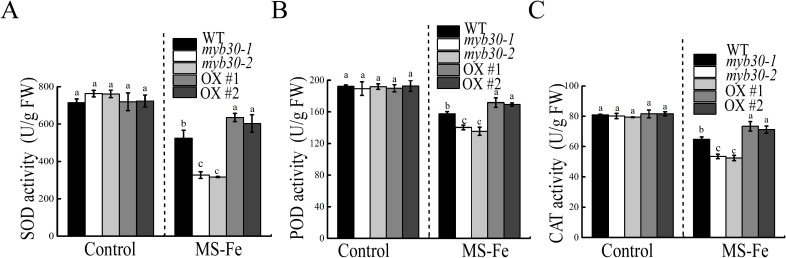 Figure 7