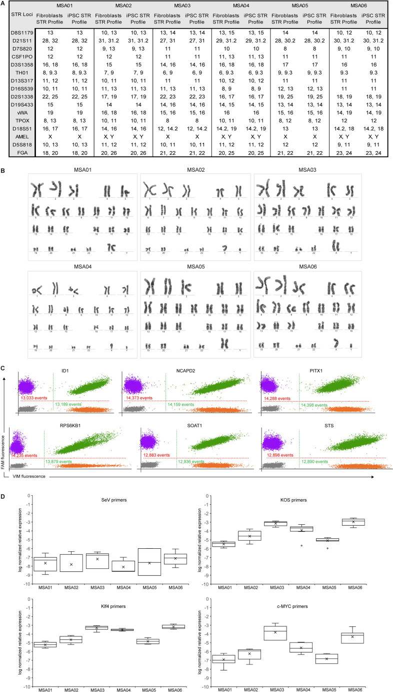 Figure 2