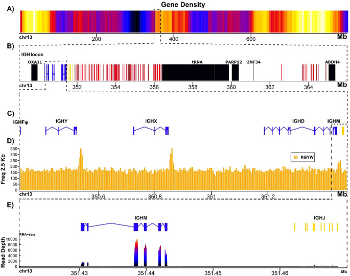 Figure 1