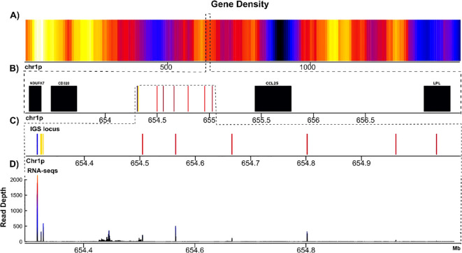 Figure 3