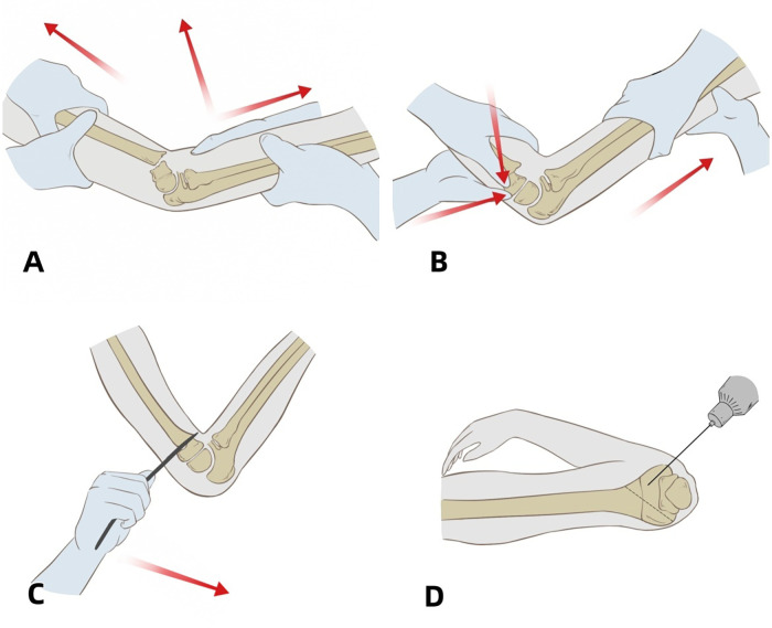 Figure 3