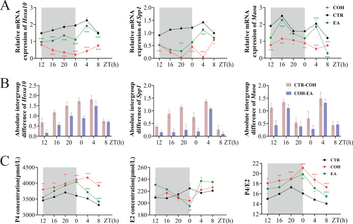 Figure 2