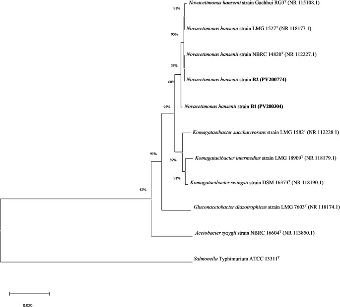 Figure 2