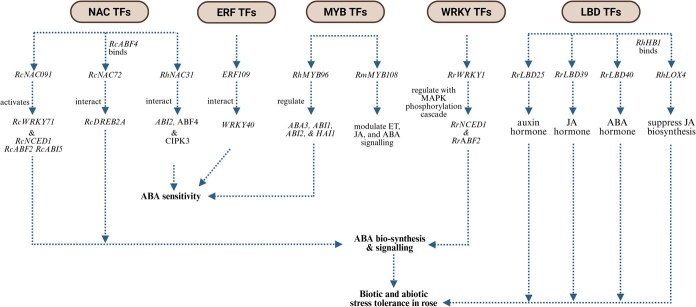 Figure 6