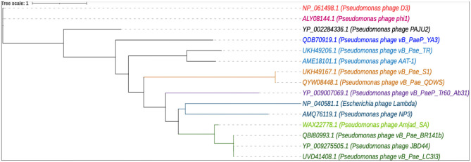 Figure 7