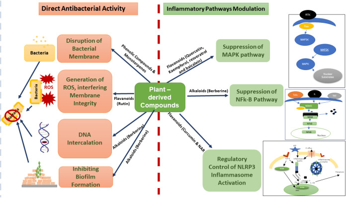 Figure 1
