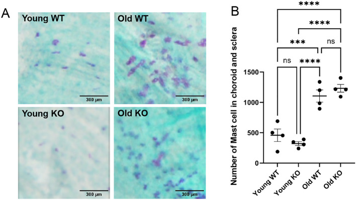 Figure 4