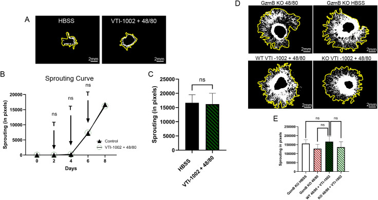 Figure 6