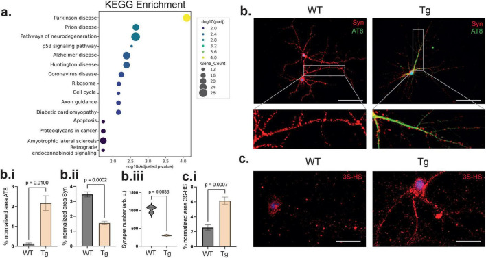 FIGURE 2