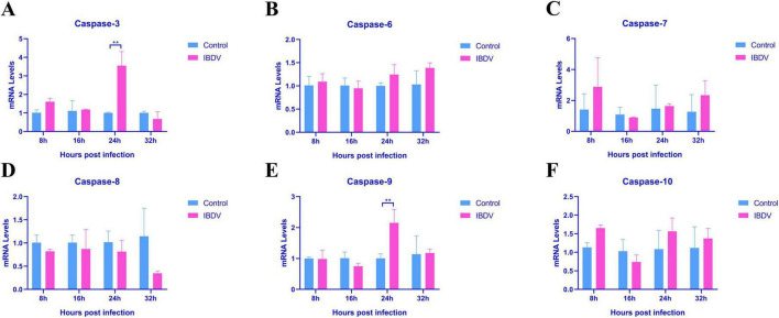 FIGURE 2