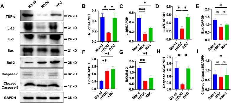 Figure 5