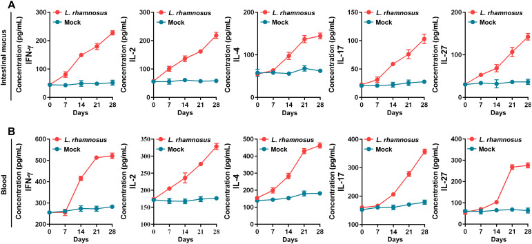 Figure 6