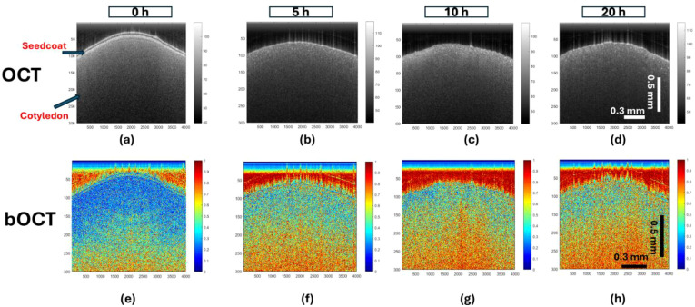 Figure 3