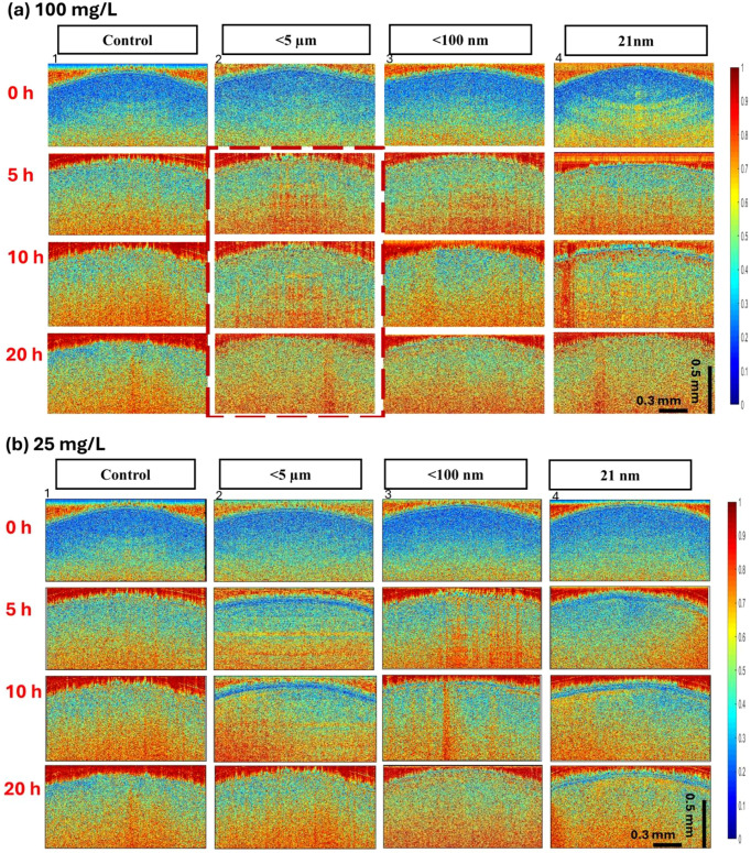 Figure 4