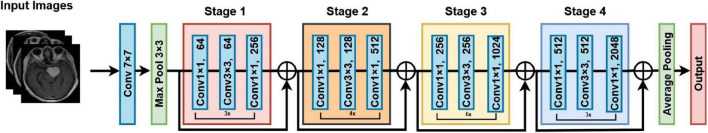 FIGURE 3
