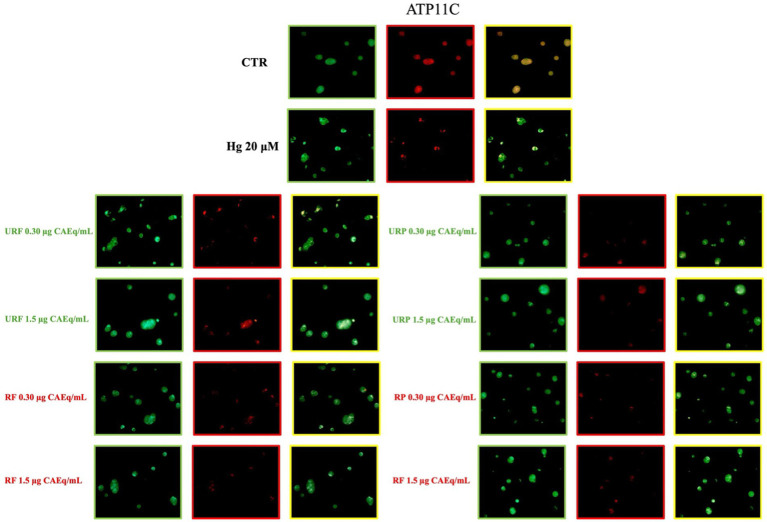 Figure 6