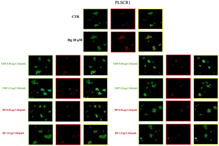 Figure 7