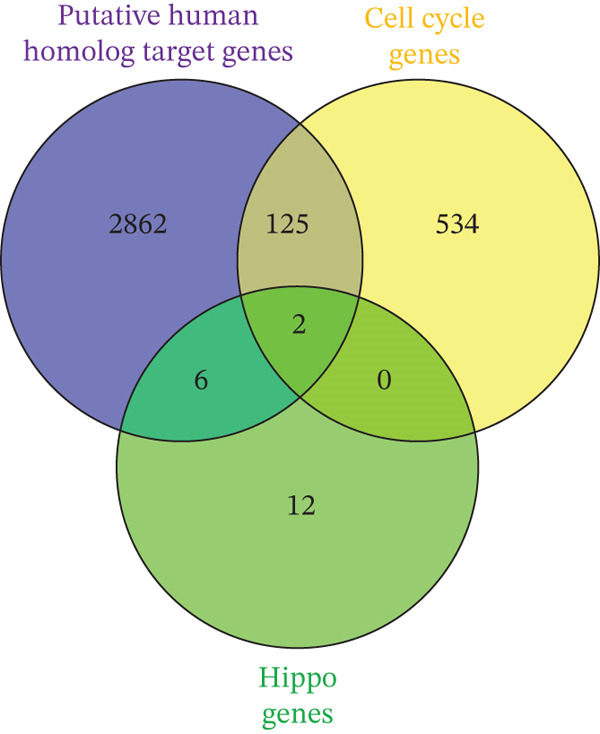 Figure 13