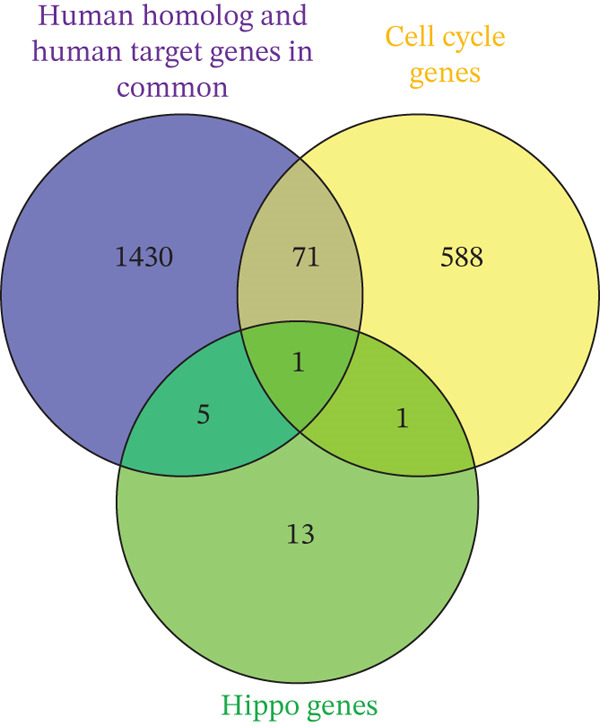 Figure 15