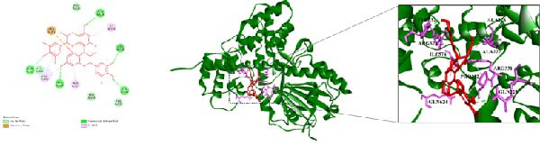 Figure 8