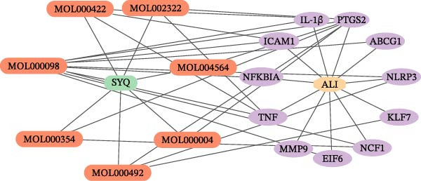 Figure 13