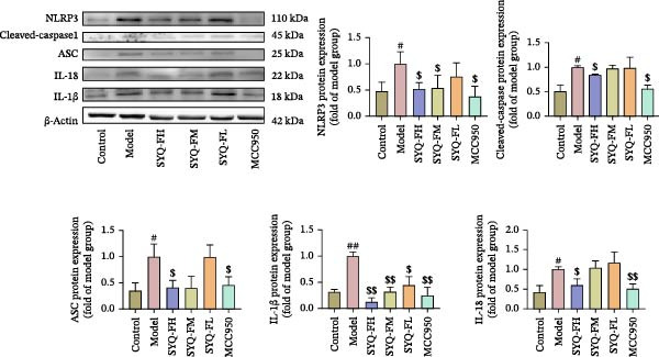 Figure 29