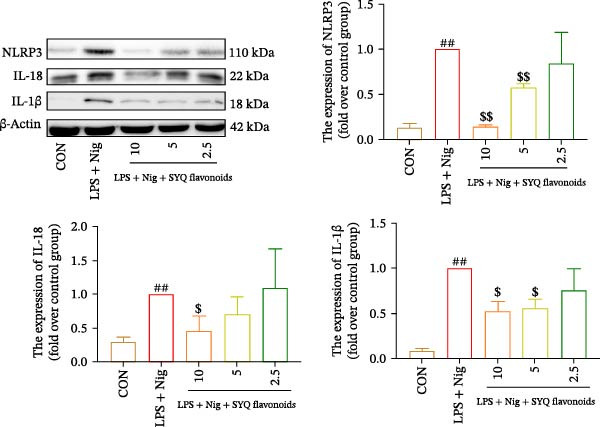 Figure 31