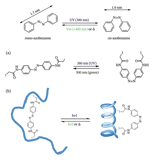 SCHEME 6