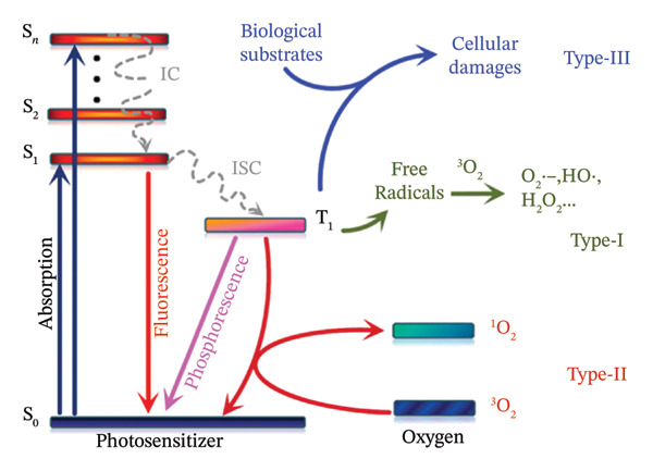 FIGURE 1