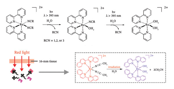 FIGURE 3