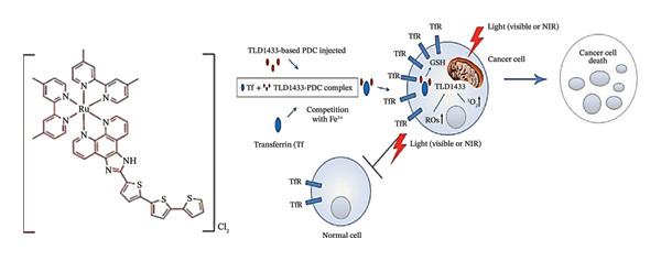 FIGURE 4