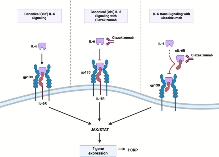 FIGURE 3