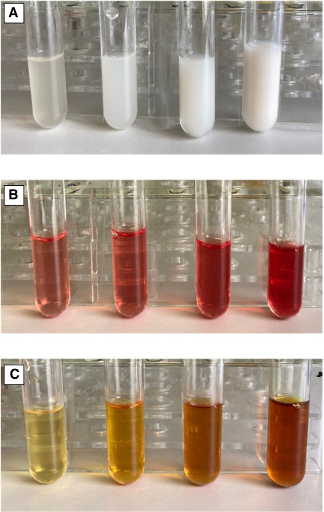 FIG 2