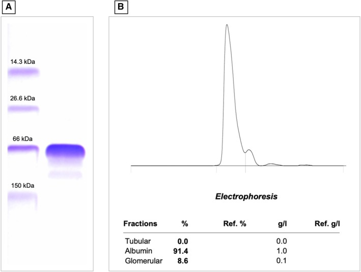 FIG 2