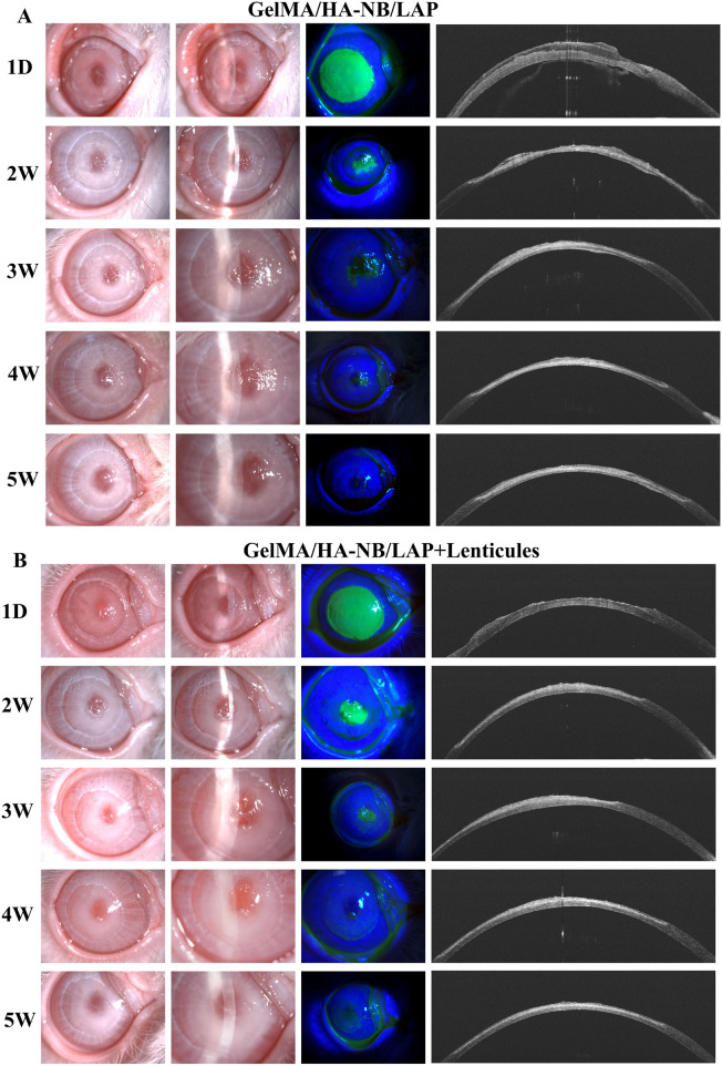 FIGURE 4