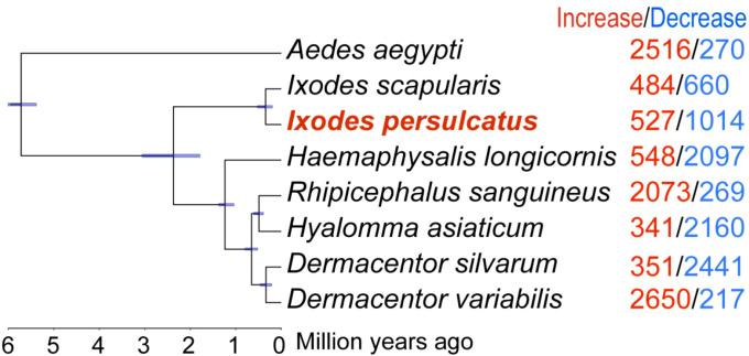 Figure 3
