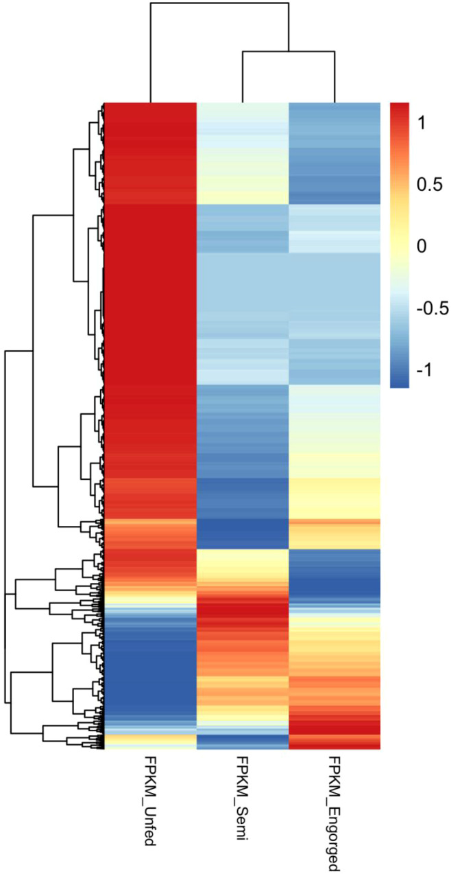 Figure 6