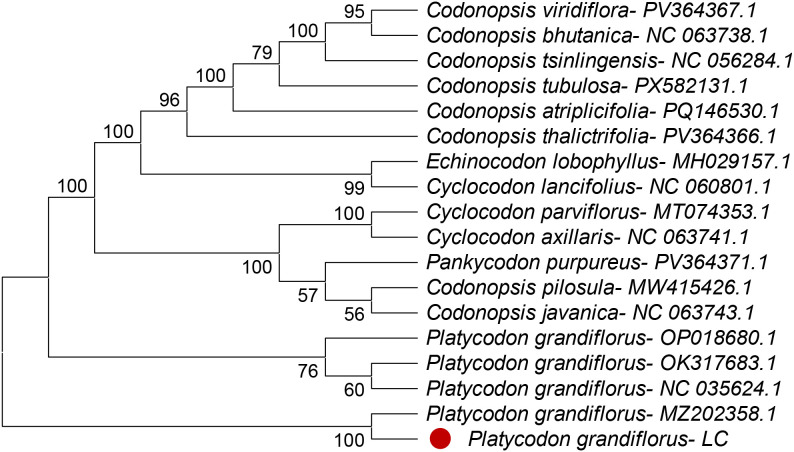 Figure 7