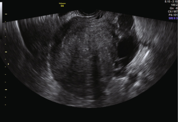 Figure 5