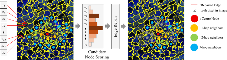 Figure 19