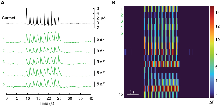 Figure 7