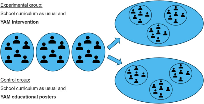 FIGURE 1